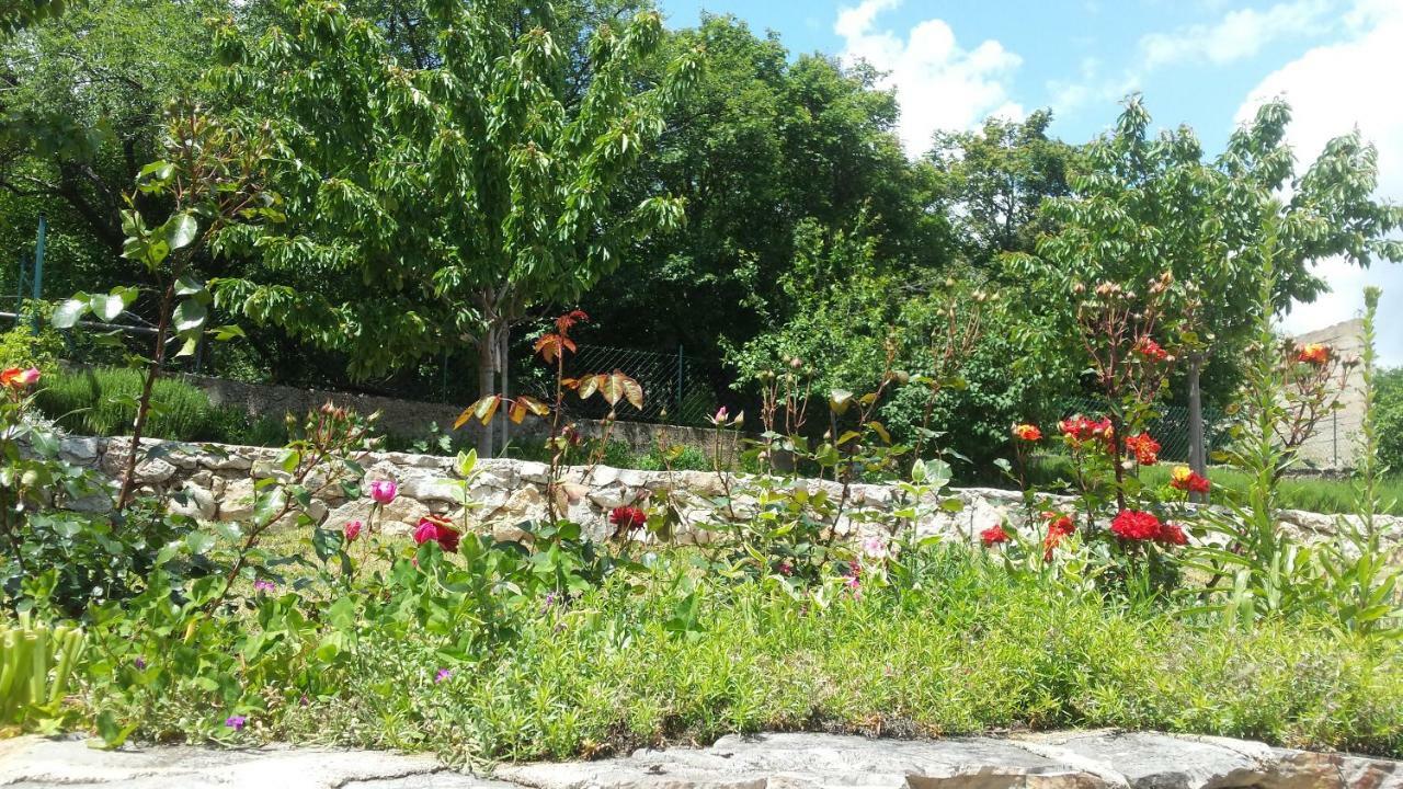 Villa Cetina Milasi ภายนอก รูปภาพ