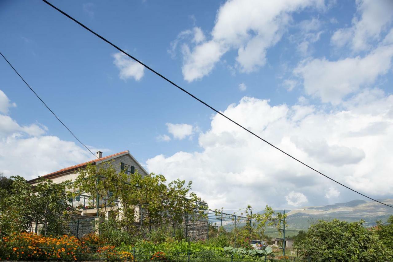 Villa Cetina Milasi ภายนอก รูปภาพ